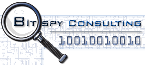 Bitspy Consulting